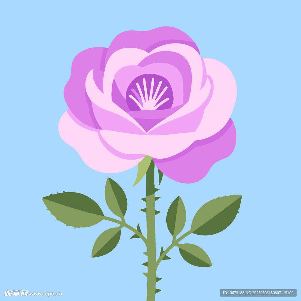 粉色玫瑰插画
