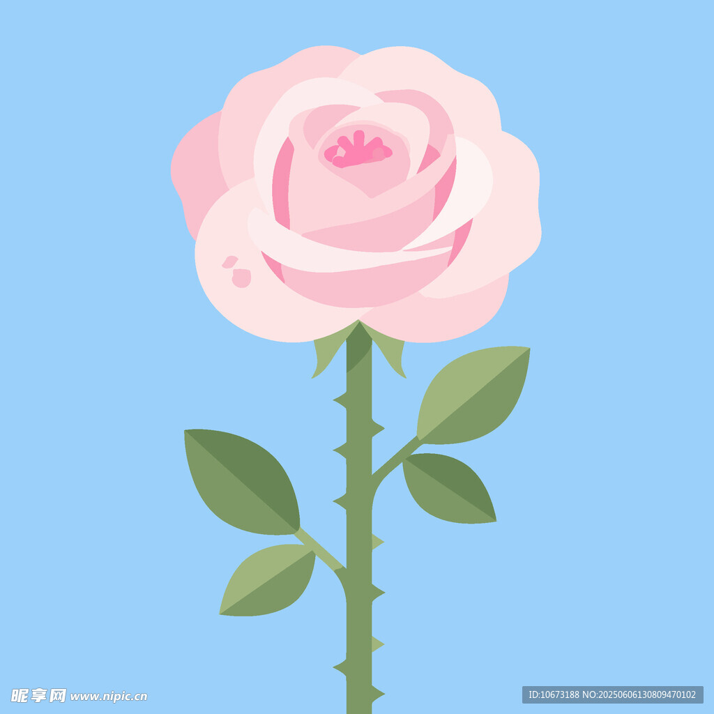粉色玫瑰插画