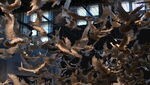 从莫奈梵高到毕加索艺术展
