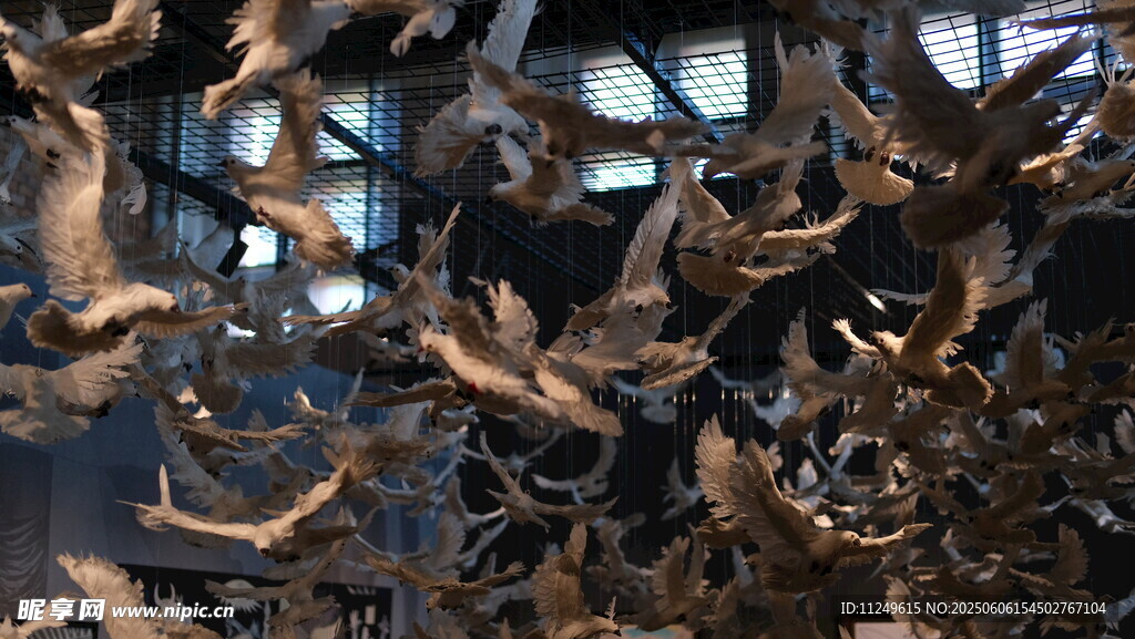 从莫奈梵高到毕加索艺术展