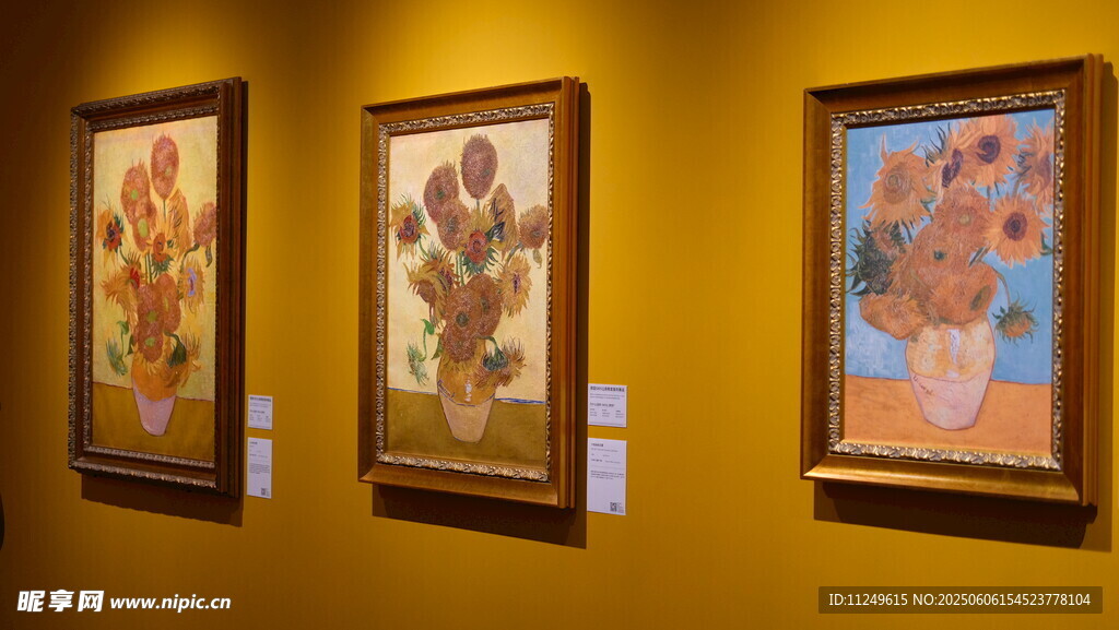 从莫奈梵高到毕加索艺术展
