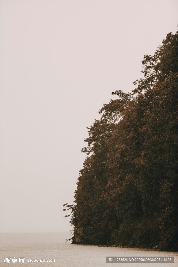 湖畔葱郁山林景色
