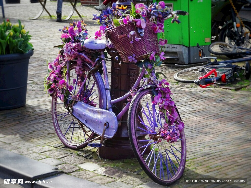 紫色花饰自行车