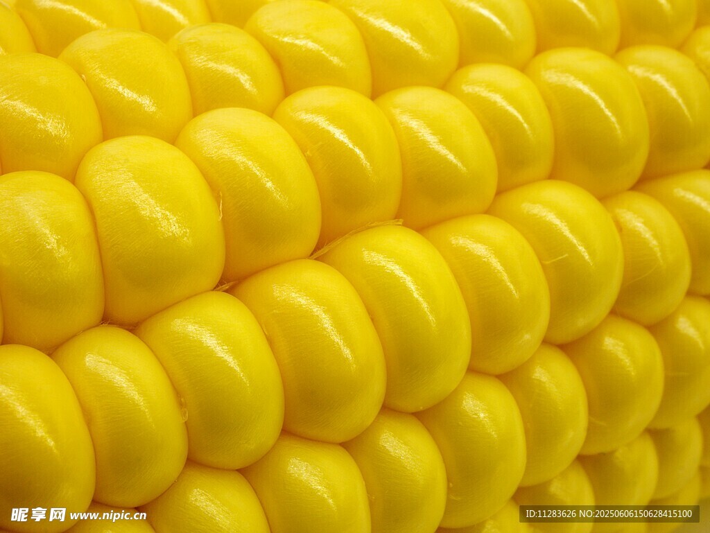 饱满金黄玉米粒特写