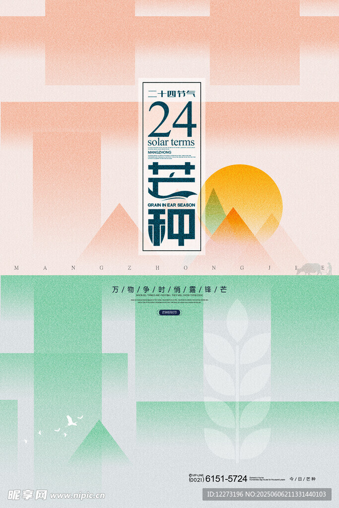 24 芒种节气插画设计