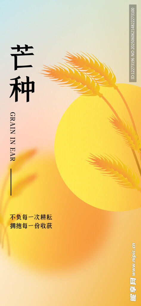 芒种海报