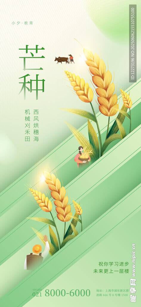 清新节气芒种插画海报