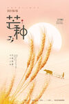 芒种海报