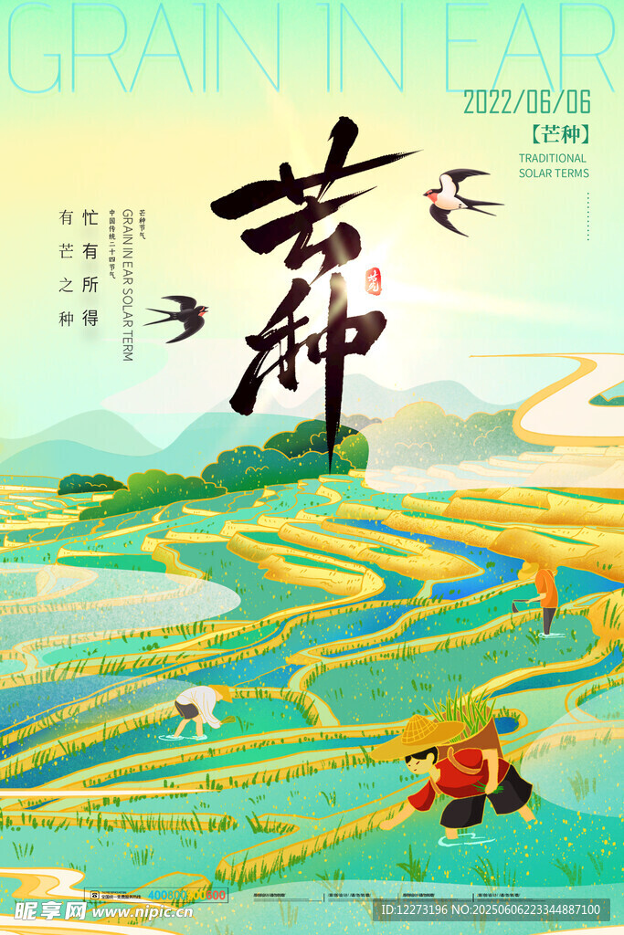 芒种海报
