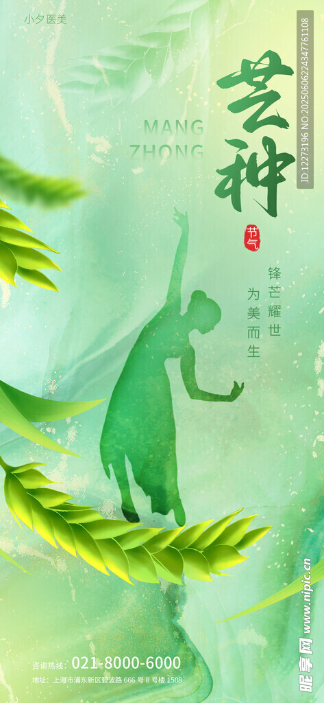 芒种海报
