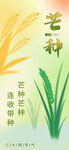芒种时节 