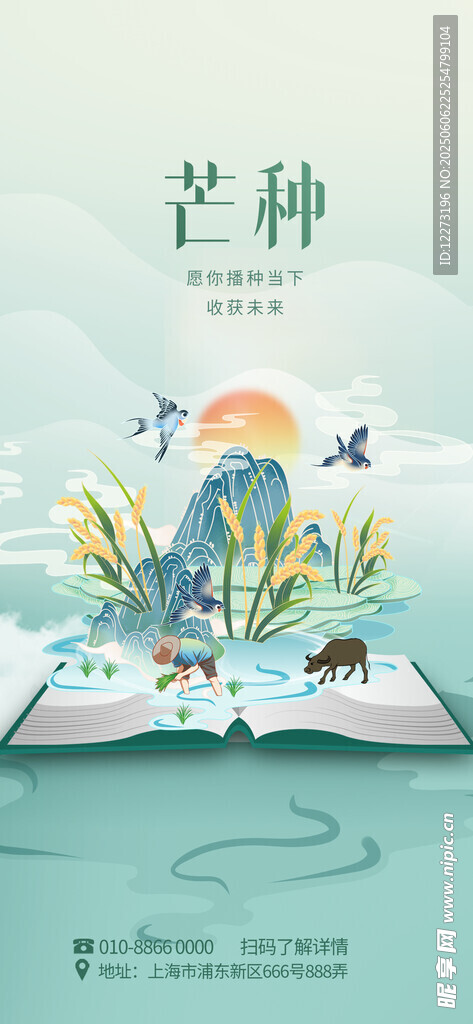芒种时节翻开知识之书