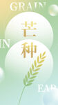 芒种节气清新插画海报