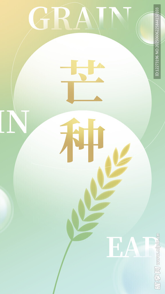 芒种节气清新插画海报