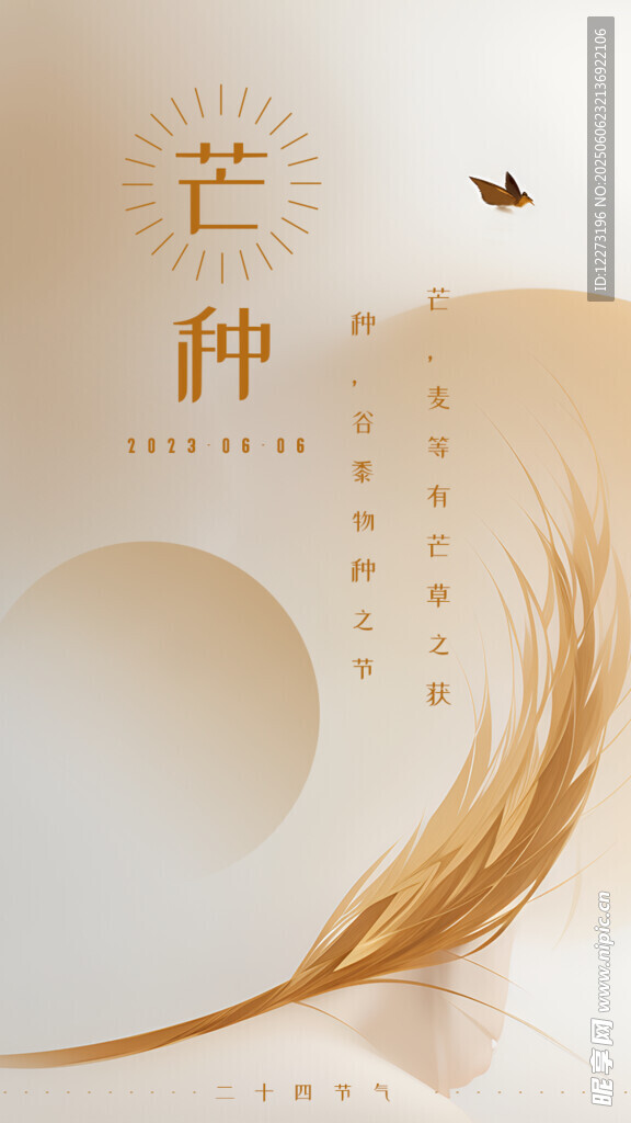 芒种时节麦穗飞鸟图景