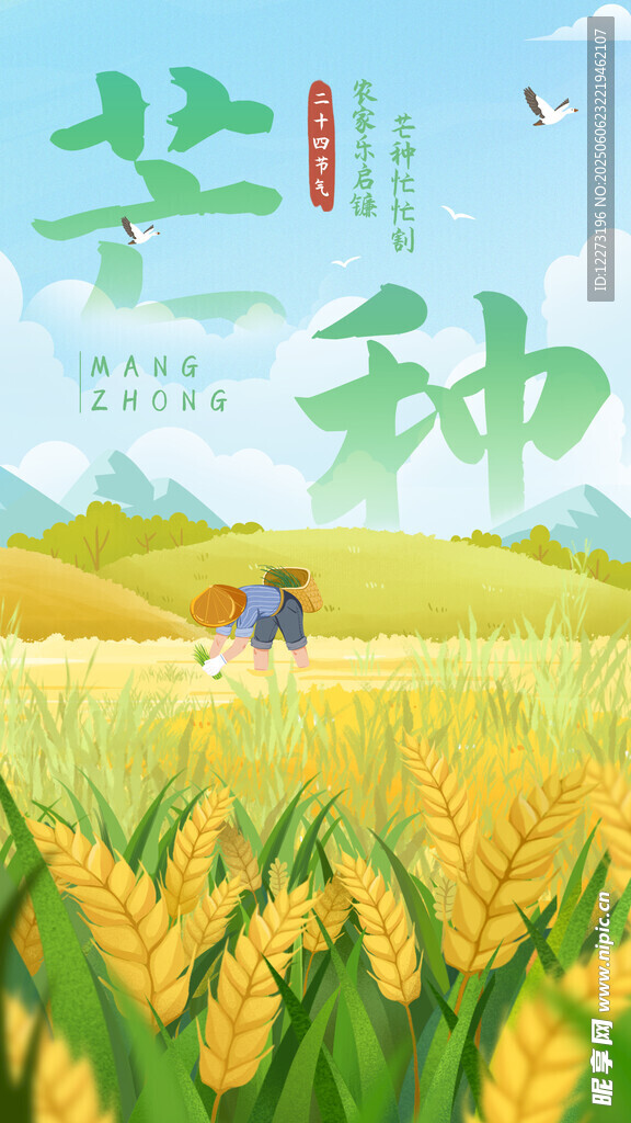 芒种海报