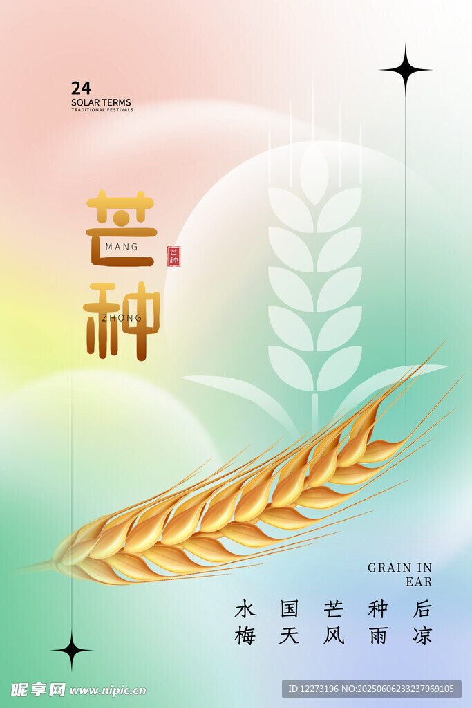 芒种时节麦穗插画