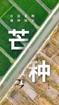 芒种时节农田劳作景象