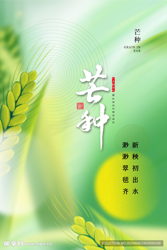 清新芒种节气插画背景图