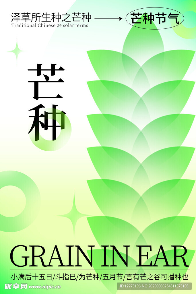 芒种时节绿叶主题插画