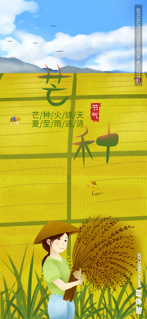 芒种海报