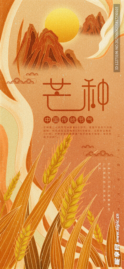 芒种时节麦田丰收景象