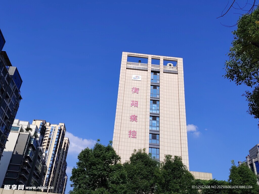 高楼矗立蓝天绿树间