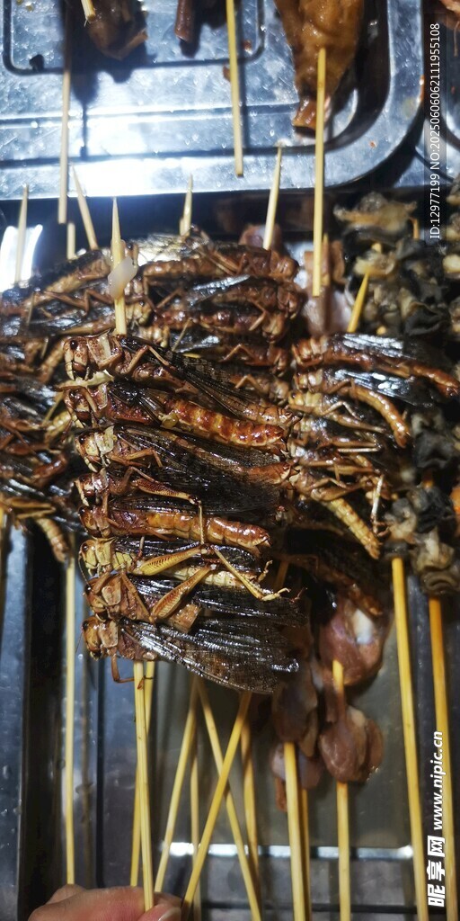 美味烤肉串诱人呈现