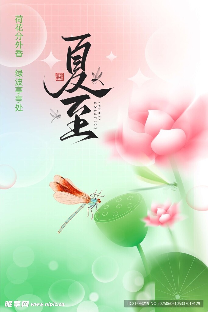 夏至时节荷花蜻蜓图