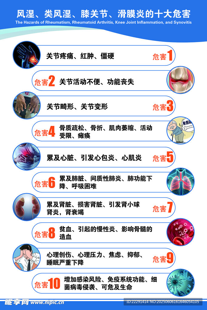 风湿类风湿挂图