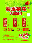 书法招生