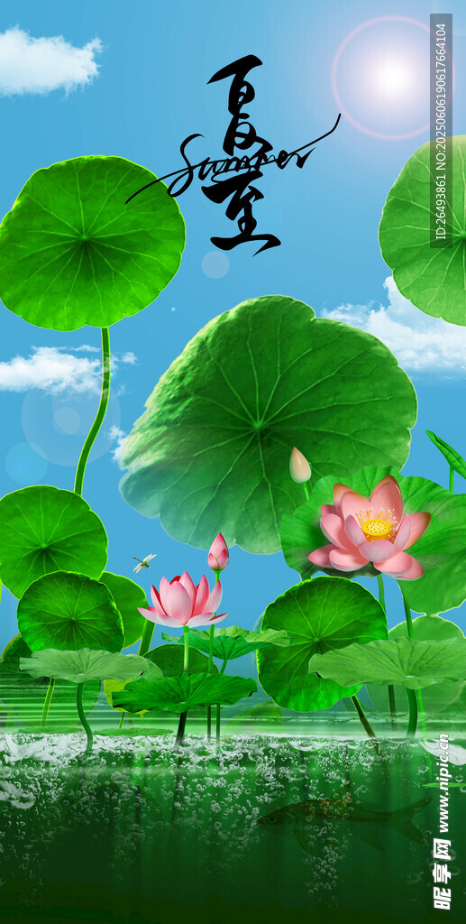 夏至海报