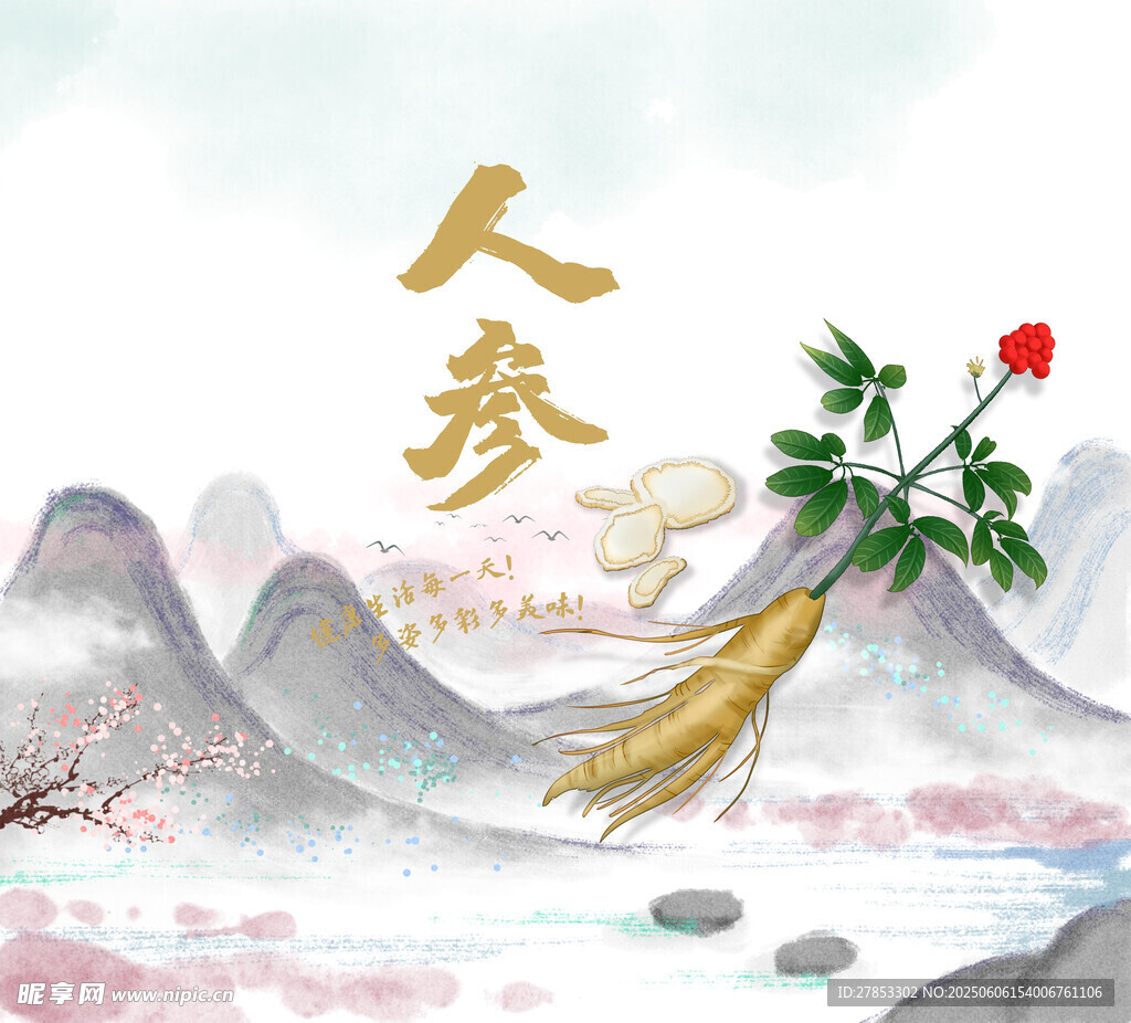 人参插画