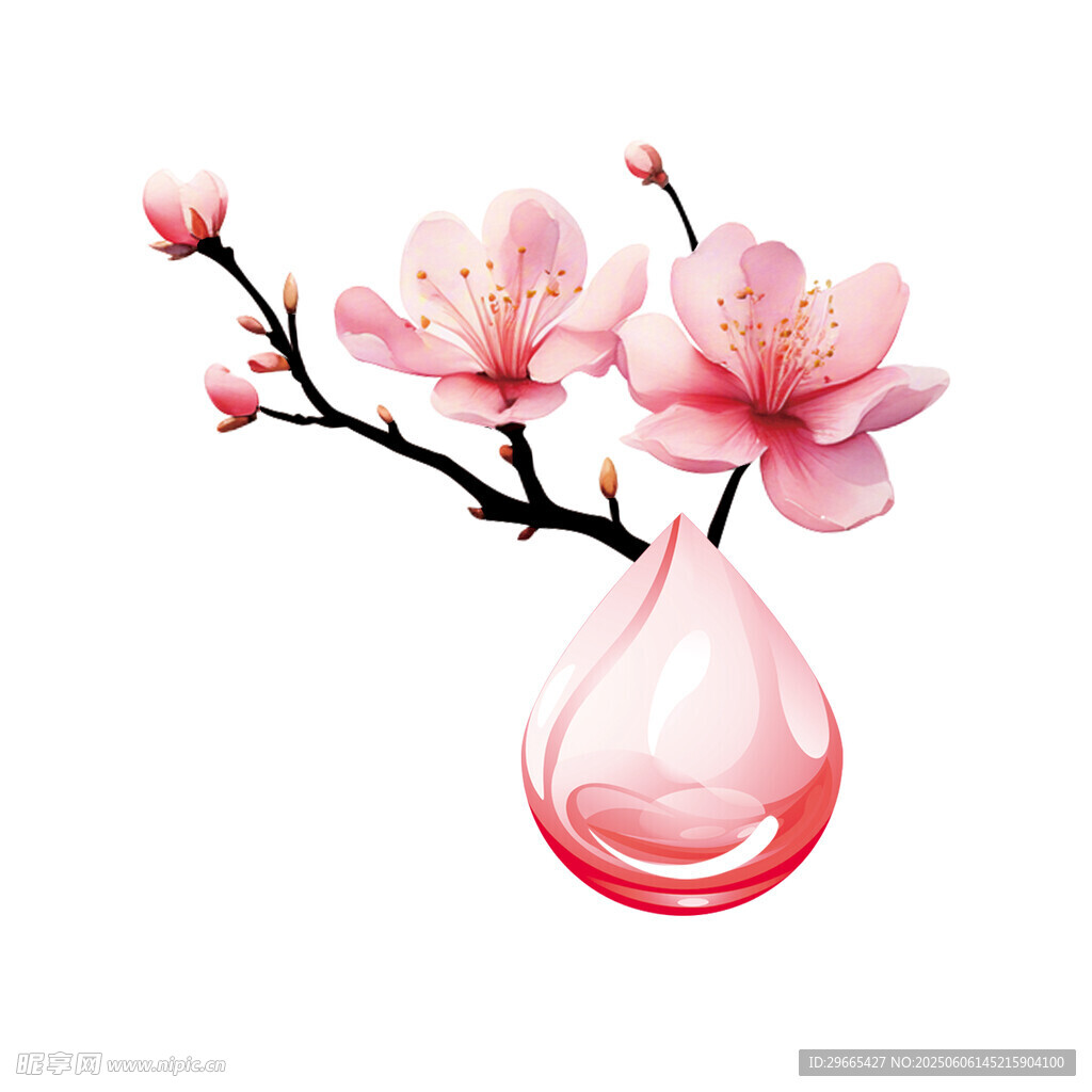 水滴中的粉嫩桃花枝