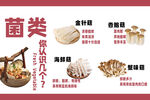 菌类