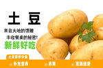 土豆