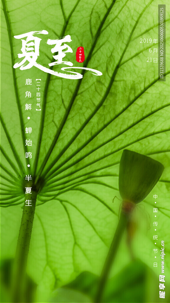夏日清新夏至24二十四节气UI