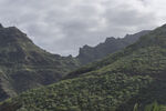 山峦 植被