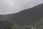 山峦 植被 