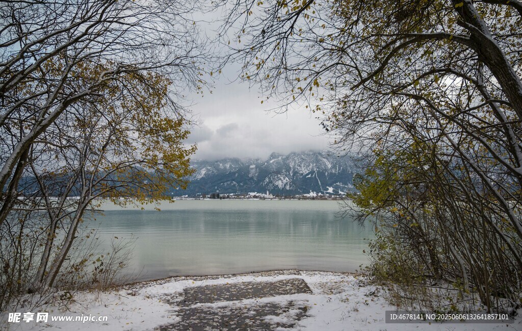 冬日湖畔雪景静谧风光