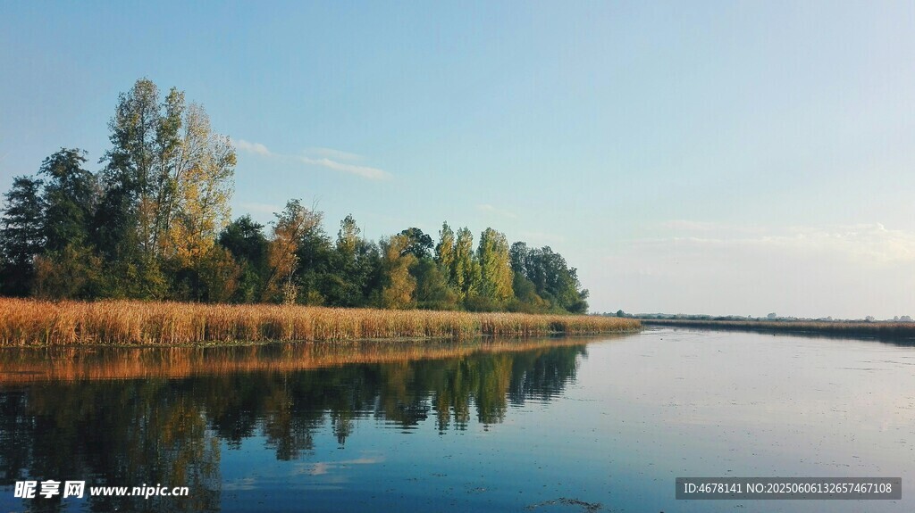 宁静湖畔的自然美景