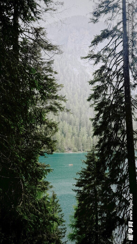 林间湖畔美景