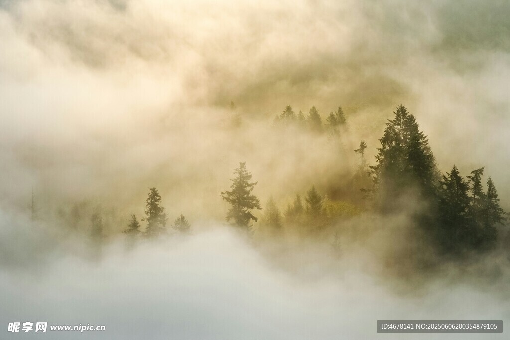 云雾缭绕中的山林美景