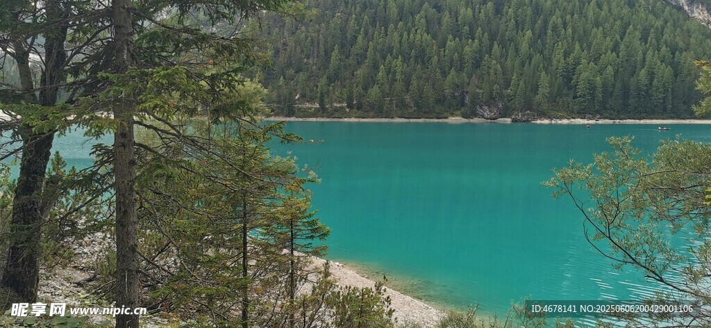 湖畔森林美景