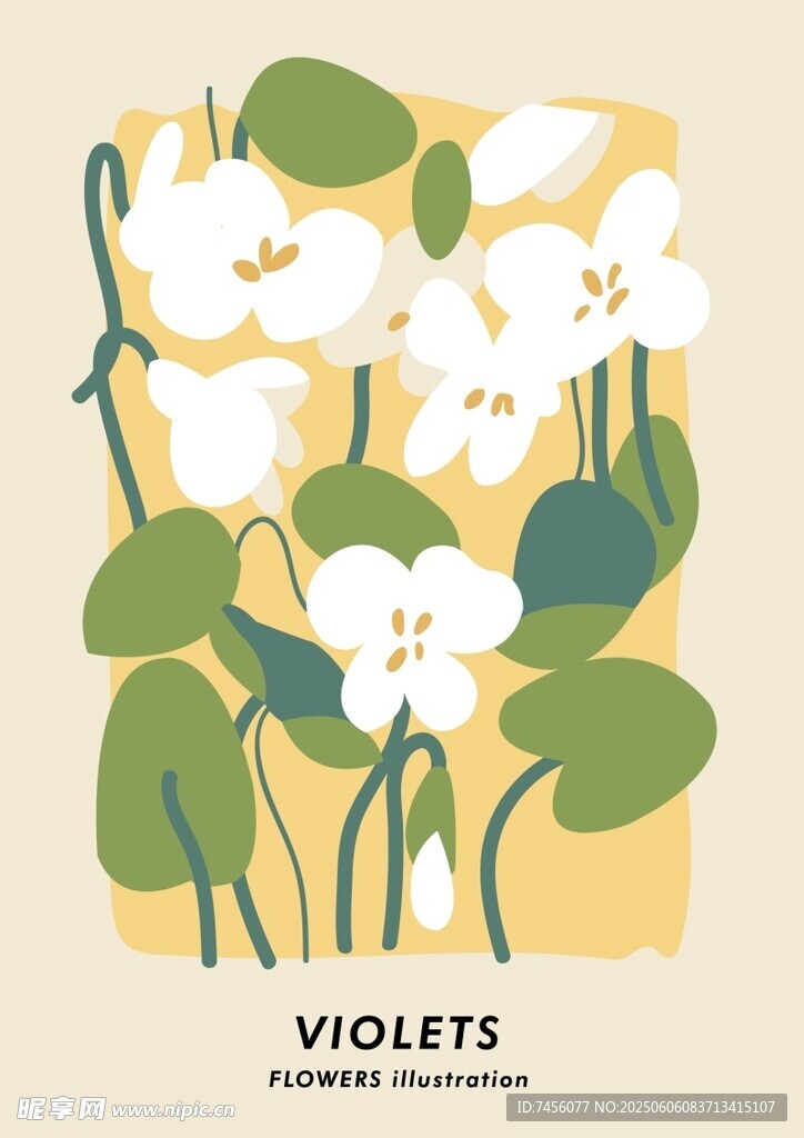 简约风白色兰花插画作品
