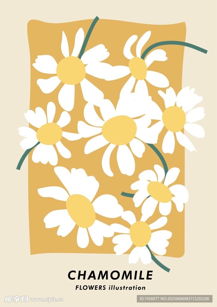 简约风洋甘菊插画图案