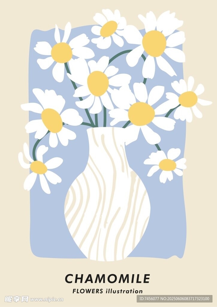 花瓶中的洋甘菊插画