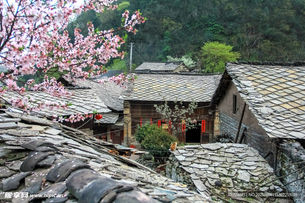 春日古村落屋顶景致