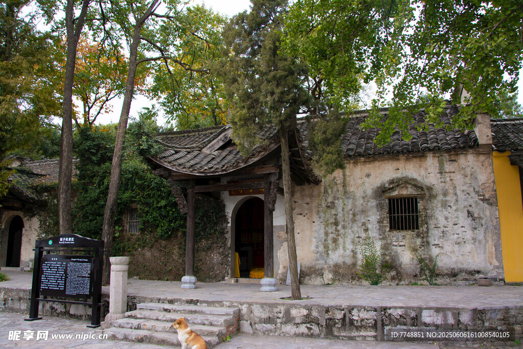 古旧建筑隐于葱郁树木间