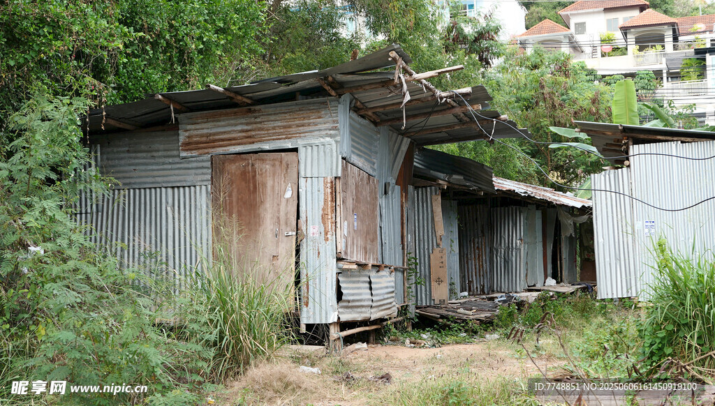破旧废弃小屋隐于草木间